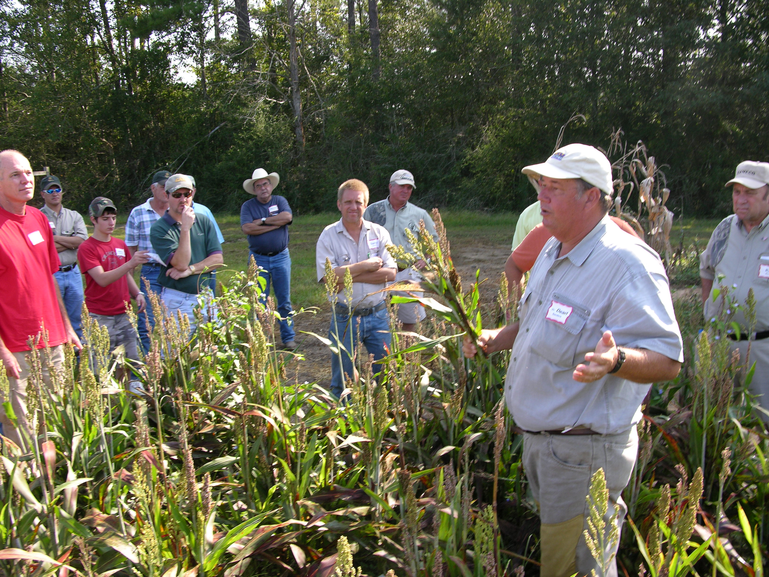 Get the most bang from your wildlife food plots 